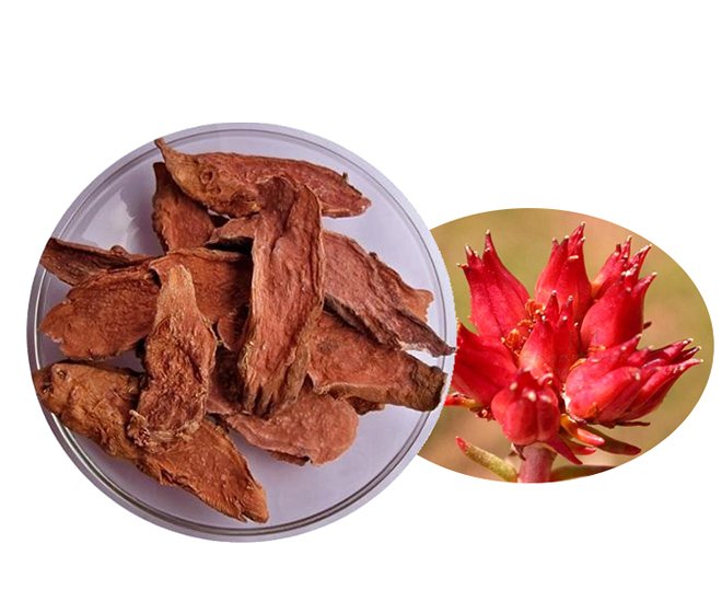 Rhodiola Crenulata Extract