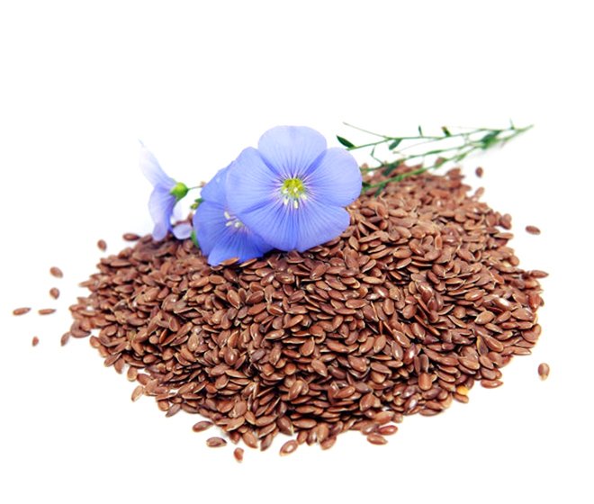 Flaxseed Extract