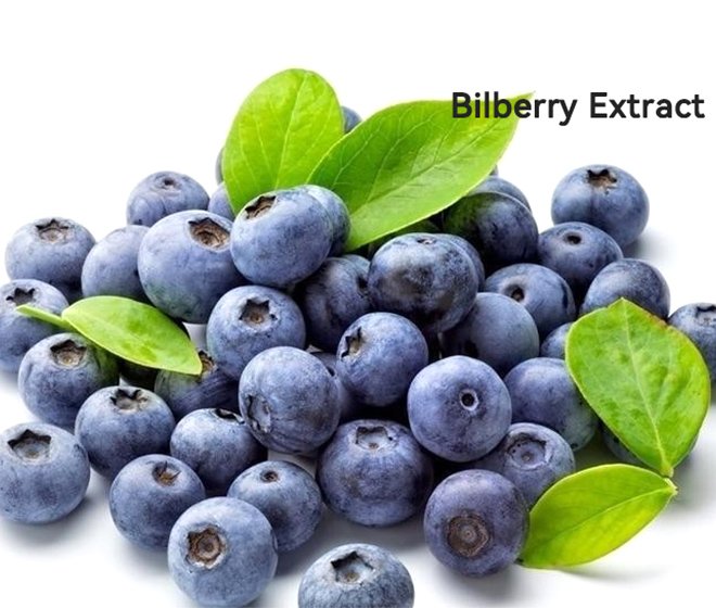 Bilberry Extract