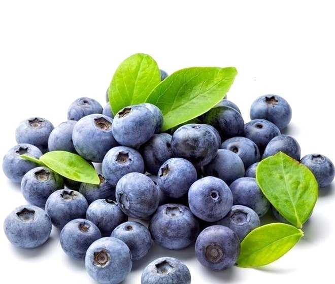 Bilberry Extract