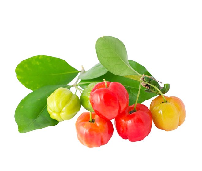 Acerola Cherry Extract