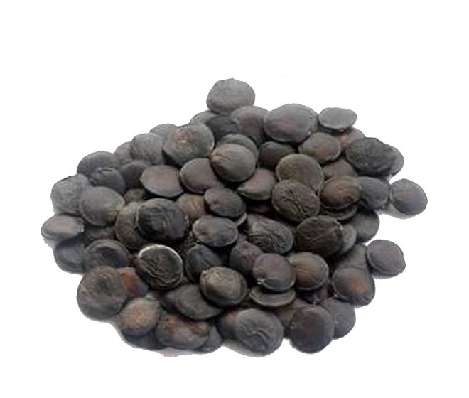 Griffonia Simplicifolia Extract