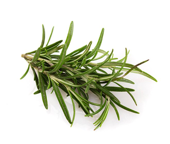 Rosemary Extrac