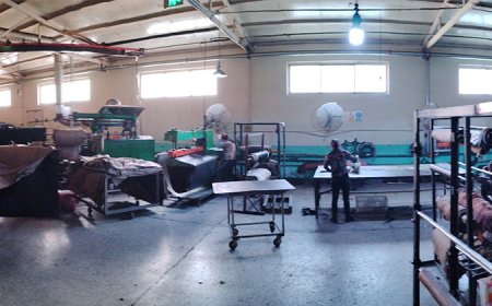 -6_0001_IMG_20230410_105031