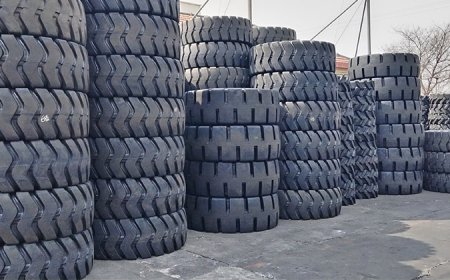 -6_0002_IMG_20230403_095938