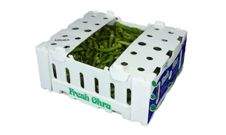 Caja de embalaje de PP de hoja natural de material 100% nuevo