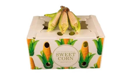 Caja de plástico corrugado PP