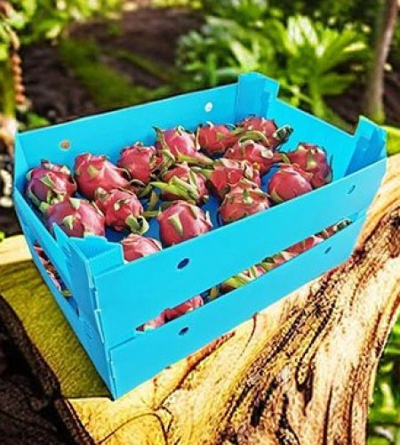 Ventajas de las cajas de plástico corrugado para frutas y verduras