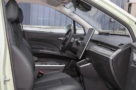 New Energy Electric Car