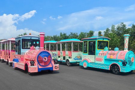 China Production Amusement Park Diesel Engine Tourist Train 9