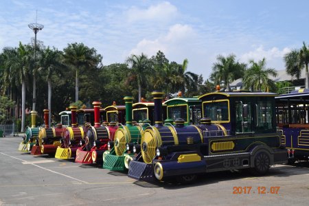 China Production Amusement Park Diesel Engine Tourist Train 5 (3)