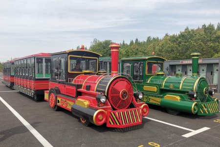 China Production Amusement Park Diesel Engine Tourist Train 5 (5)