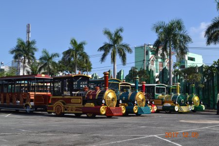 China Production Amusement Park Diesel Engine Tourist Train 5 (2)