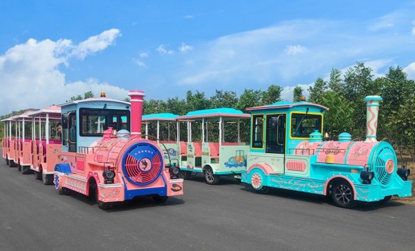 Electrical and Diesel Tourist Train with 72 Seats Coaches