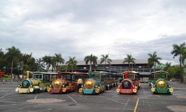 Amusement Park Tourist Train