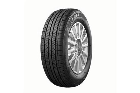 Triangle Tire 205/55r16 Tr978