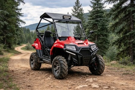 200cc 2-seater Utility UTV (3)