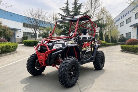 100 KM Range Battery Power UTV (4)