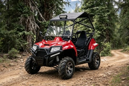 200cc 2-seater Utility UTV (1)
