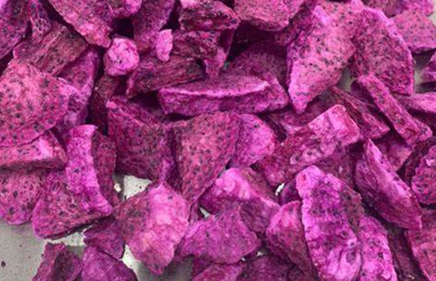 100% Natural  Freeze Dried Dragon Fruit 