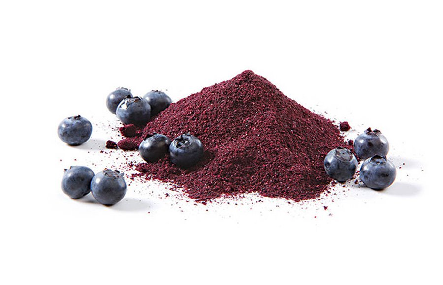 freeze dried organic Blueberries-powder