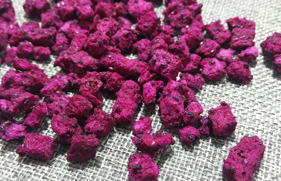 Factory Directly FD Dragon Fruit 