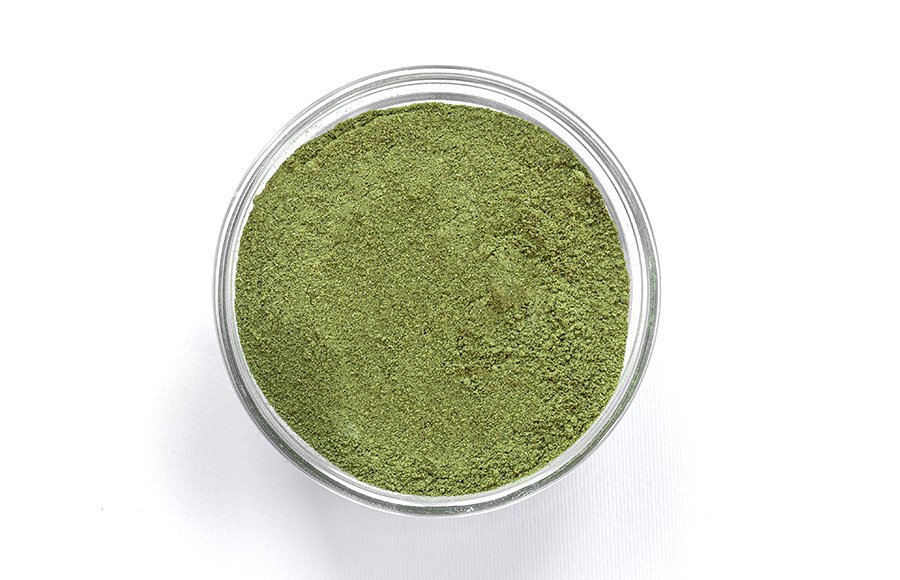 dried scallion powder vegetables LOWEST PRICE