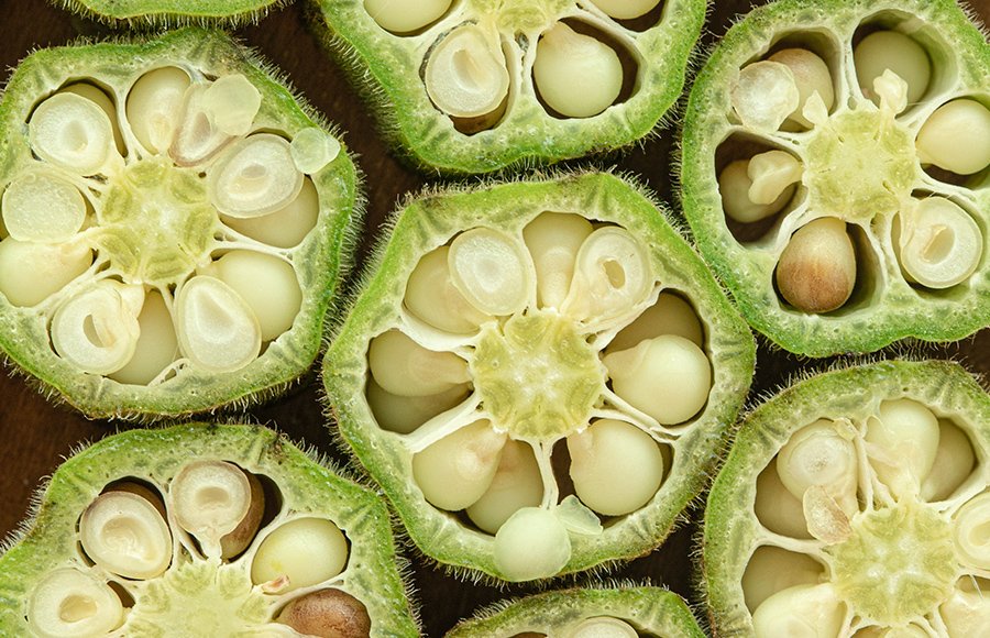 cheapest price dry okra vegetables produced fd sliced-okra