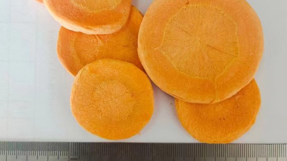 Freeze Dried Carrot Slice — Ready Colors, Ready Nutrition for Scalable Food Production