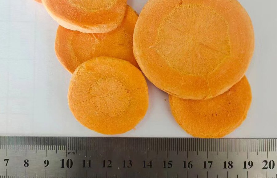 OEM Private Label Wholesale Bulk freeze dried slice carrot
