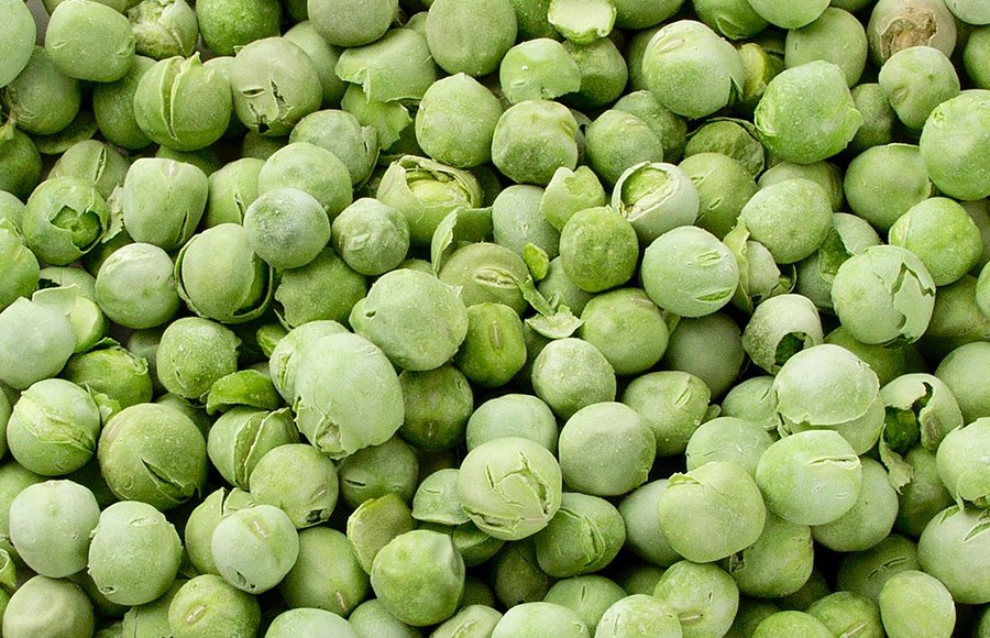 best price Wholesale Bulk  peas freeze dried food