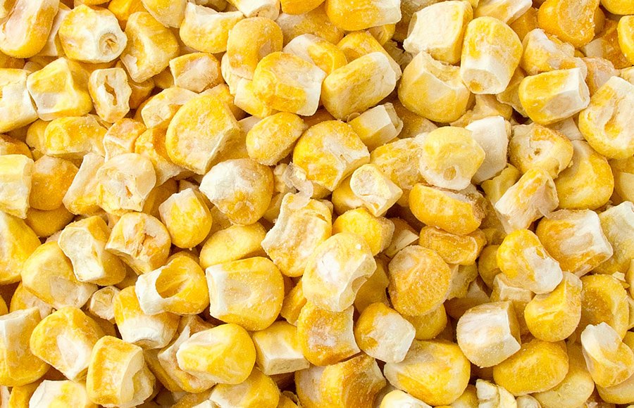 cheapest price vegetables produced by factory corn freeze dried