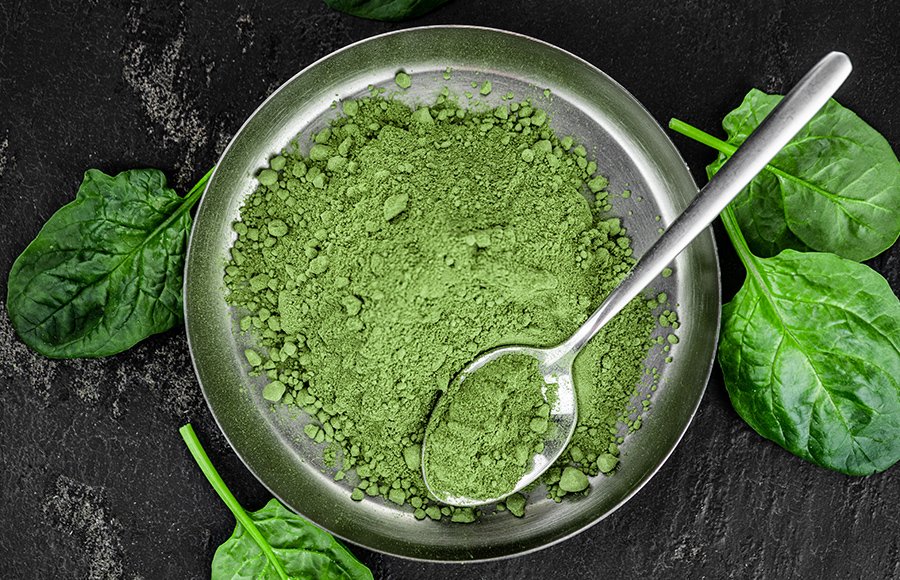 freshly-made-spinach-powder-Factory Directly 