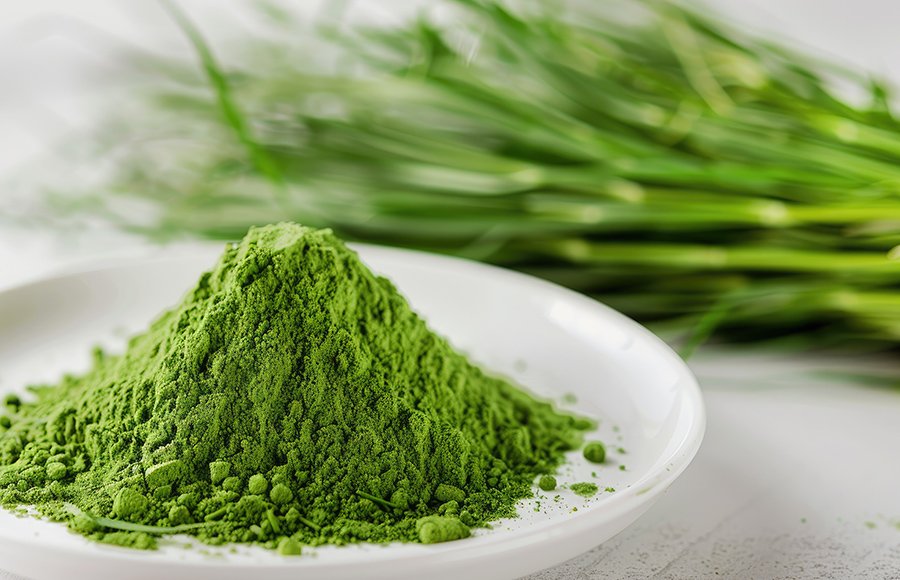 OEM Private Label  Spring onion powdeintestinal-health