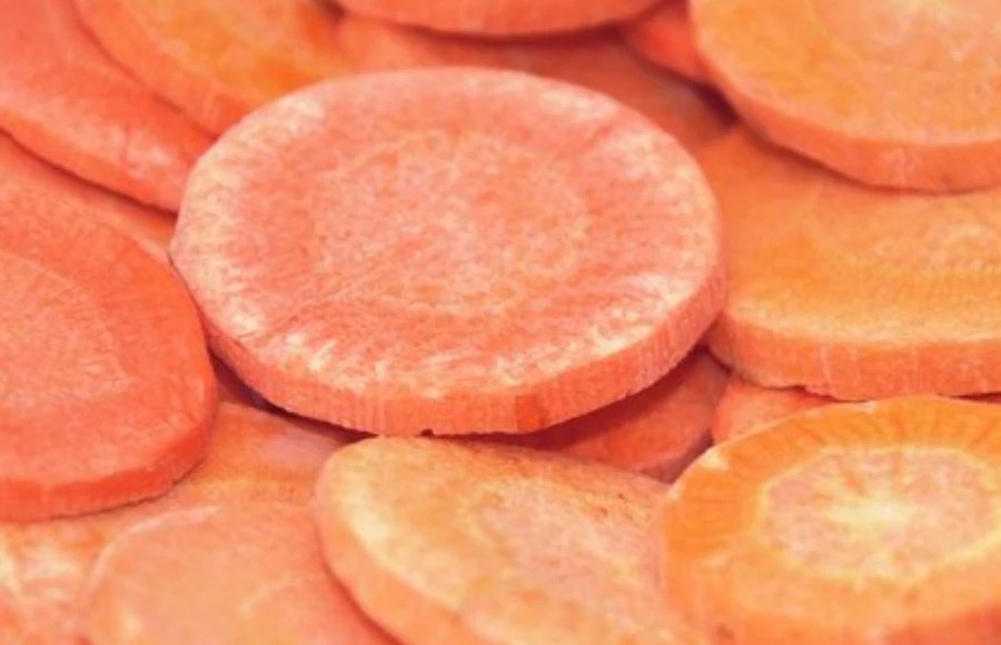 OEM Private Label Wholesale Bulk freeze dried slice carrot