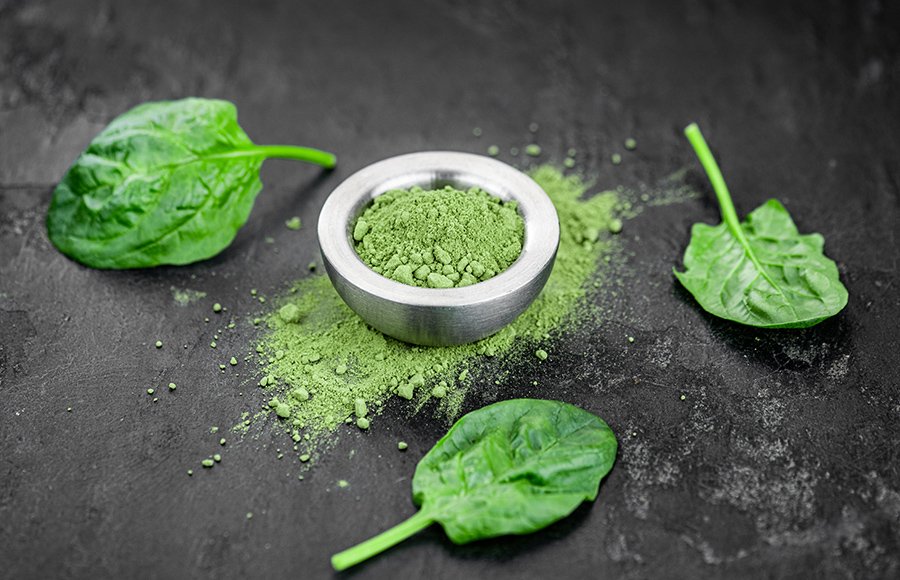 free sample FD spinach-powder-