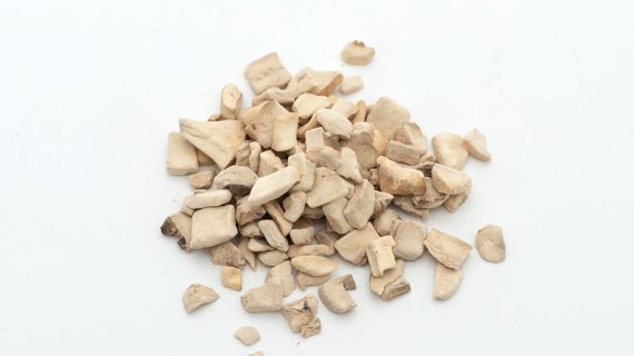 Why Leading Food Buyers Now Prioritize Freeze-Dried Mushrooms Suppliers — Traceability, Texture & B2B Service