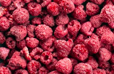 IQF Premium 15-20mm Size Freeze-dried Raspberry