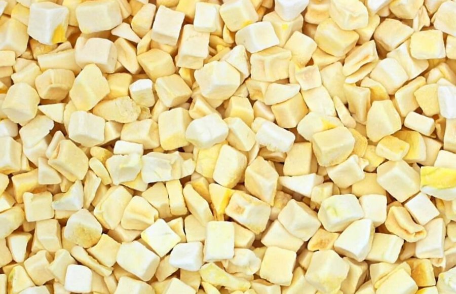 budget freeze dried mango supplier