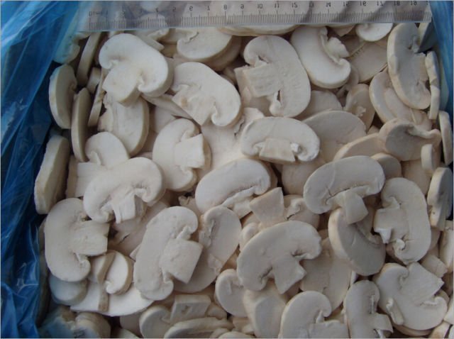 freeze dried mushroom supplier in USA