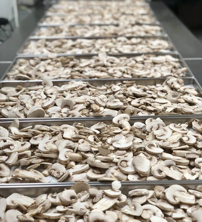 USDA organic freeze dried mushroom