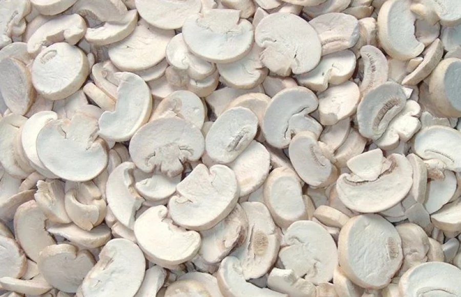 Wholesale-Fd-Champignon-Freeze-Dried-Mushroom-Supplier