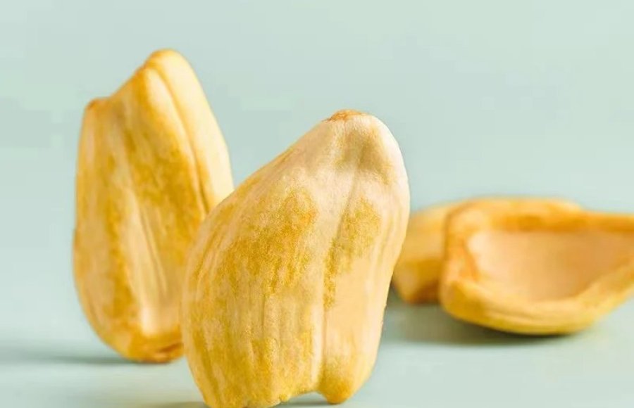 freeze dried Jack fruit private label supplier