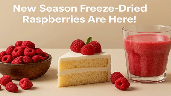 New Season Freeze-Dried Raspberries Now Available —  Premium Quality for Global Buyers