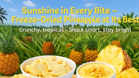 Sunshine in Every Bite – Freeze-Dried Pineapple at Its Best