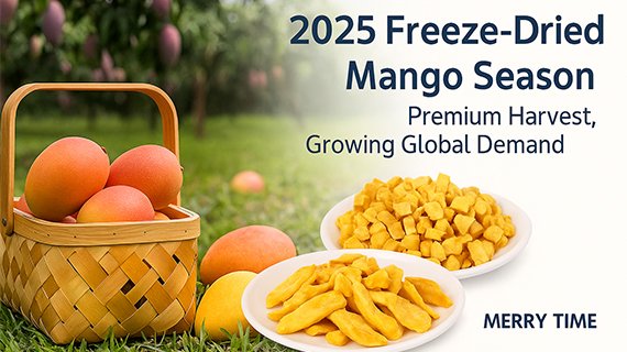 2025 Freeze-Dried Mango Season Premium Harvest, Growing Global Demand