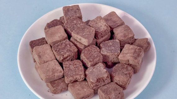 What Makes Freeze Dried Chocolate Ice Cream Bites Irresistibly Unique?