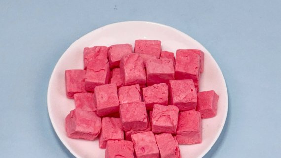 What Makes Freeze Dried Strawberry Chocolate Ice Cream Bites So Alluring?