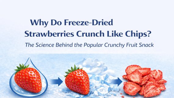 Why Do Freeze-Dried Strawberries Crunch Like Chips?
