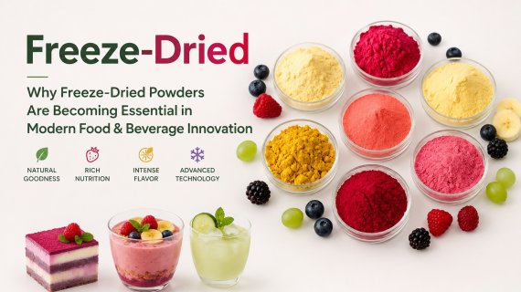 Why Freeze-Dried Powders Are Becoming Essential in Modern Food & Beverage Innovation